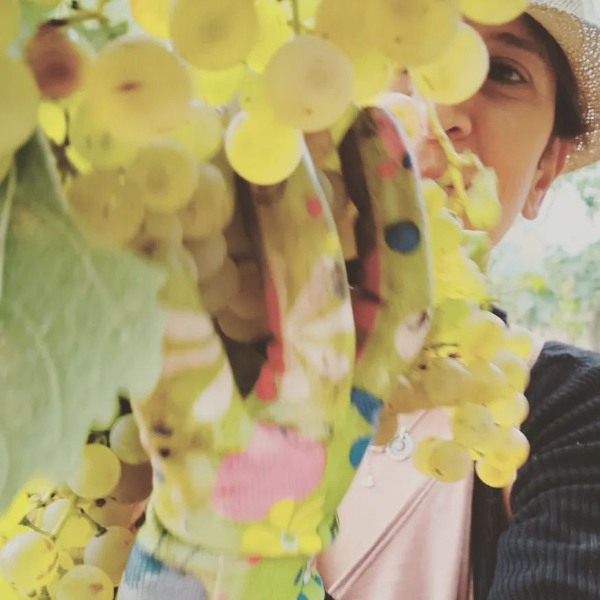 Azienda-Vinicola-Nina-Trinca-carosello-1