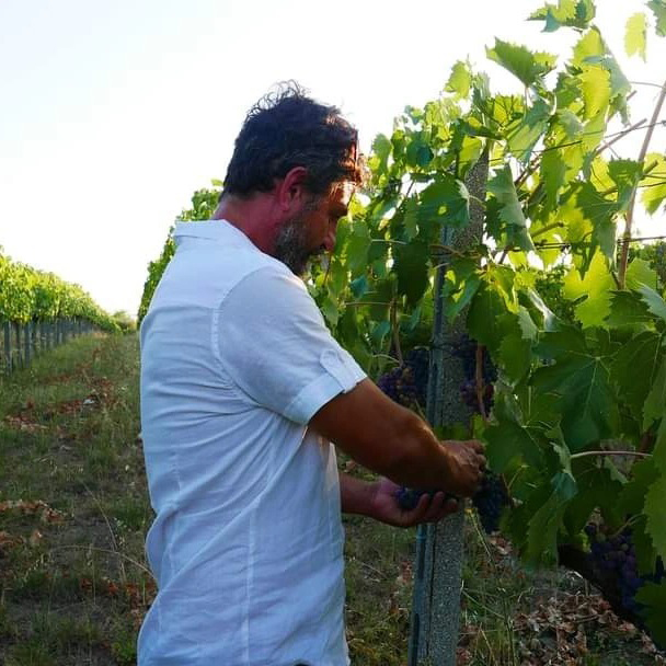 Azienda-Vinicola-Nina-Trinca-carosello-2