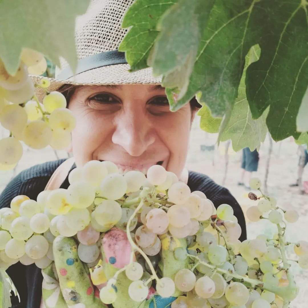 Azienda-Vinicola-Nina-Trinca-carosello-6